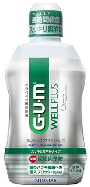 GUM 상쾌한 타입 구강 가글 450ml