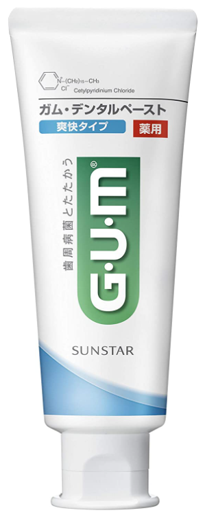 GUM 덴탈 페이스트 상쾌한 치약 120g