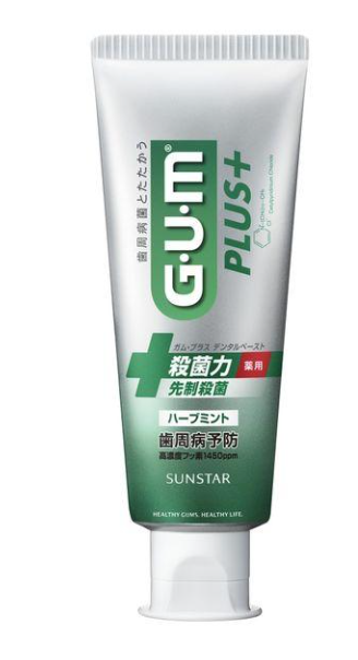 GUM 플러스 덴탈 페이스트 허브 민트 치약 120g