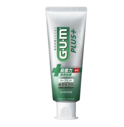 GUM 플러스 덴탈 페이스트 허브 민트 치약 120g