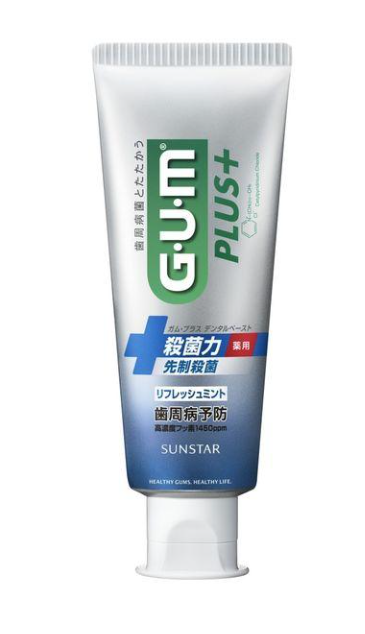 GUM 플러스 덴탈 페이스트 리프레쉬 민트 치약 120g